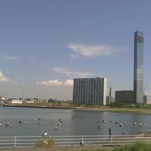 潮干狩りできます