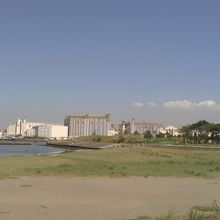 人工海浜
