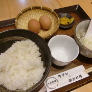 たまごかけ丼