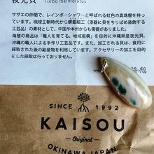 夜光貝のアクセサリー