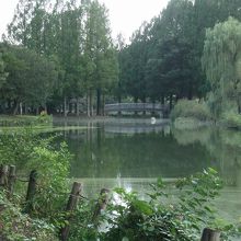 池や川、樹木も多く、自然に恵まれた公園です。