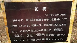 農林業を身近に感じられる公園