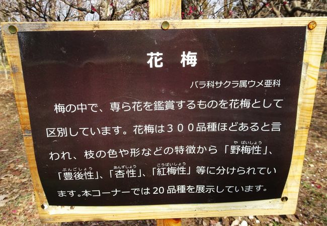 農林業を身近に感じられる公園