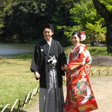 庭園内の人々から祝福され、シダレザクラの下で誓い合う二人です