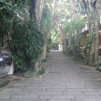 敷地が広いです