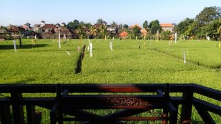 ガネーシャ ウブド イン