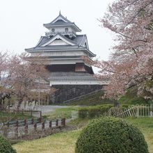 公園からの上山城の眺めです