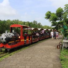 エレファンタ島　ミニSL