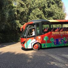 美術館行き専用バス