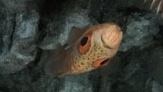 海洋博公園 の駐車場