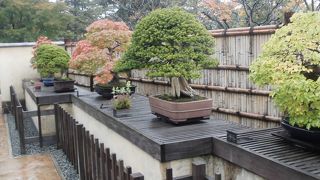 昭和記念公園内にある盆栽博物館