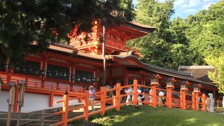 夕方の春日大社へ