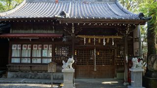 魚のキスゴの神様