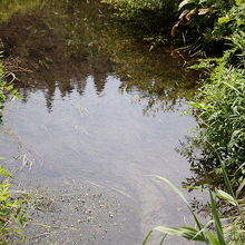 姫川源流の風景