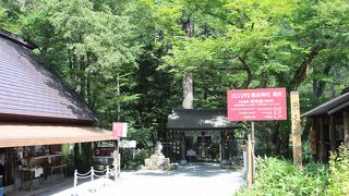 有料とは知らなかった・・・