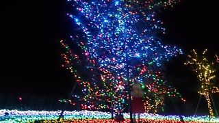 サマーイルミネーション