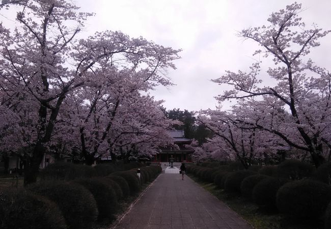 蓼科山聖光寺桜祭り クチコミ アクセス 営業時間 茅野 フォートラベル 蓼科山聖光寺桜祭り クチコミ アクセス 営業時間 茅野 フォートラベル