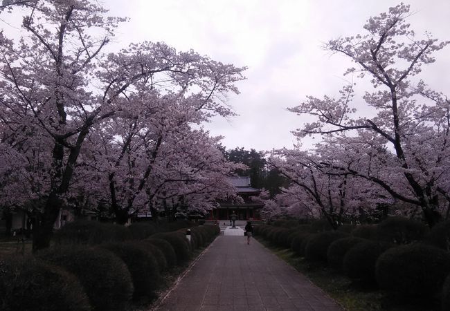 蓼科山聖光寺桜祭り クチコミ アクセス 営業時間 茅野 フォートラベル