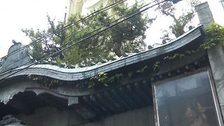 新潟の中心部に聳え立つ大師像があります