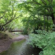 湯布院の町を流れています