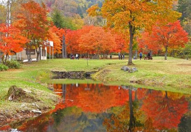 十勝で紅葉を楽しむなら！