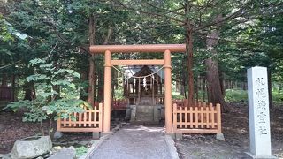 札幌で一番のパワースポット北海道神宮