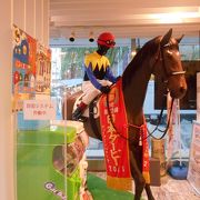 競馬の資料が一杯