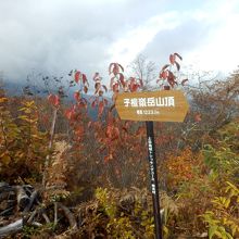 子壇嶺岳山頂