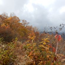 子壇嶺岳紅葉