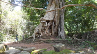 王宮は残っていません