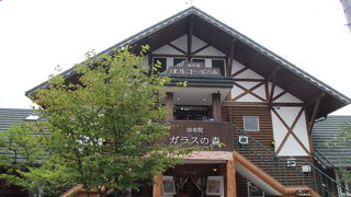 湯布院のガラスの森