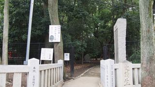 森の静かな空間