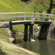 小蘆山のオカメザサの斜面の先には、一の松への橋があります。
