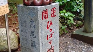 見た目にカワイイ