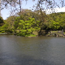 小石川後楽園の大泉水の周辺は、後園とも呼ばれていたそうです。