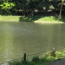 大泉水の池と、対岸の林越しに見える水戸屋敷の白い土塀です。