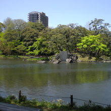 蓬莱島の徳大寺石です。徳大寺は、庭師の徳大寺左衛門の名前です