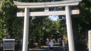 字は違いますが