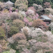 宿の谷側から見える対岸の山の風景です