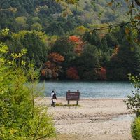 ダイニング前の遊歩道の林から湯の湖を眺める