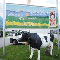 ホテル前の牛のオブジェ