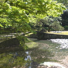 樹木の枝に囲まれた小石川後楽園の内庭です。静かな環境です。