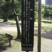 後楽園の大泉水を望む場所に、松原の解説板が立てられています。