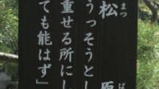 小石川後楽園の大泉水の東北の岸辺に、松原という平地部があります。