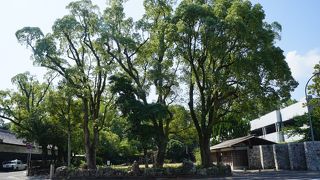 ステータスの高さも漂うような雰囲気があると思います