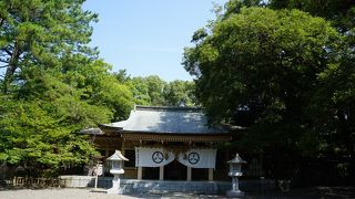 鳥居から延びる参道のうっそうとした緑が気持ちいい