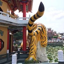 虎のおしりです