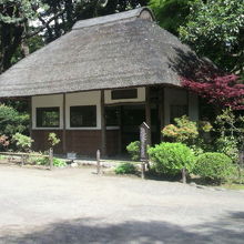 松原から見た九八屋の全景です。九八屋は、松原の東にあります。