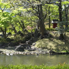 松原から見た蓬莱島の弁財天です。弁財天は、松原の西にあります