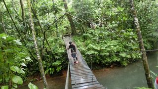 マイナスイオンたっぷり